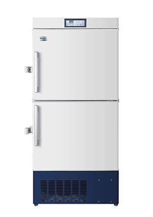 DW  40L262